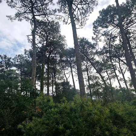 Spacieux T3 A Au Bord De L'ocean Avec Balcon