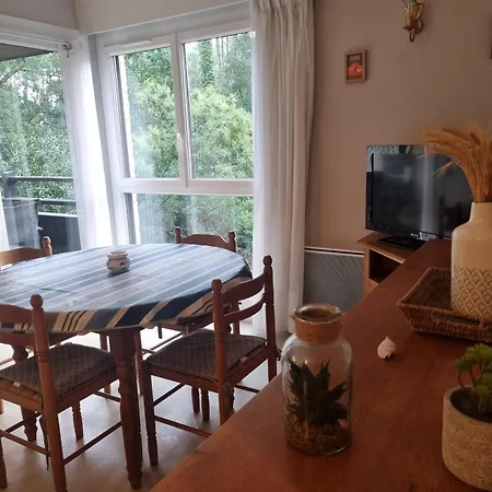 Apartment Spacieux T3 A Au Bord De L'ocean Avec Balcon - Fr-1-239-1095