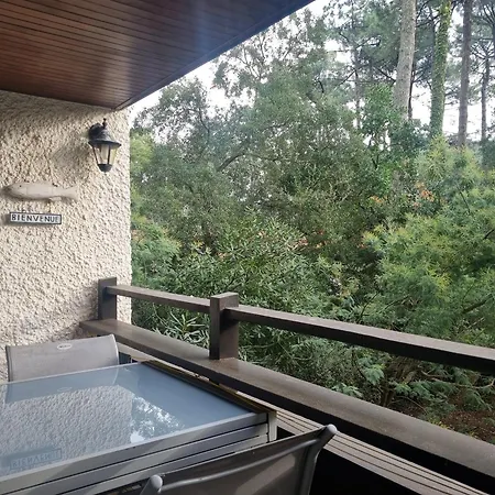 Spacieux T3 A Au Bord De L'ocean Avec Balcon - Fr-1-239-1095 Apartment